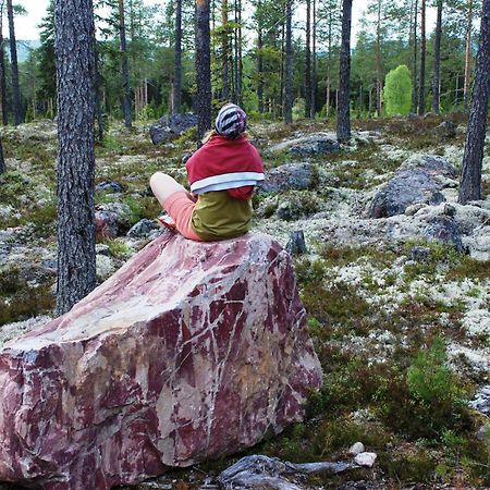 16 - Fulufjellets Nasjonalparker - Natur-, Dyre- Og Fugleopplevelser Ljørdal エクステリア 写真