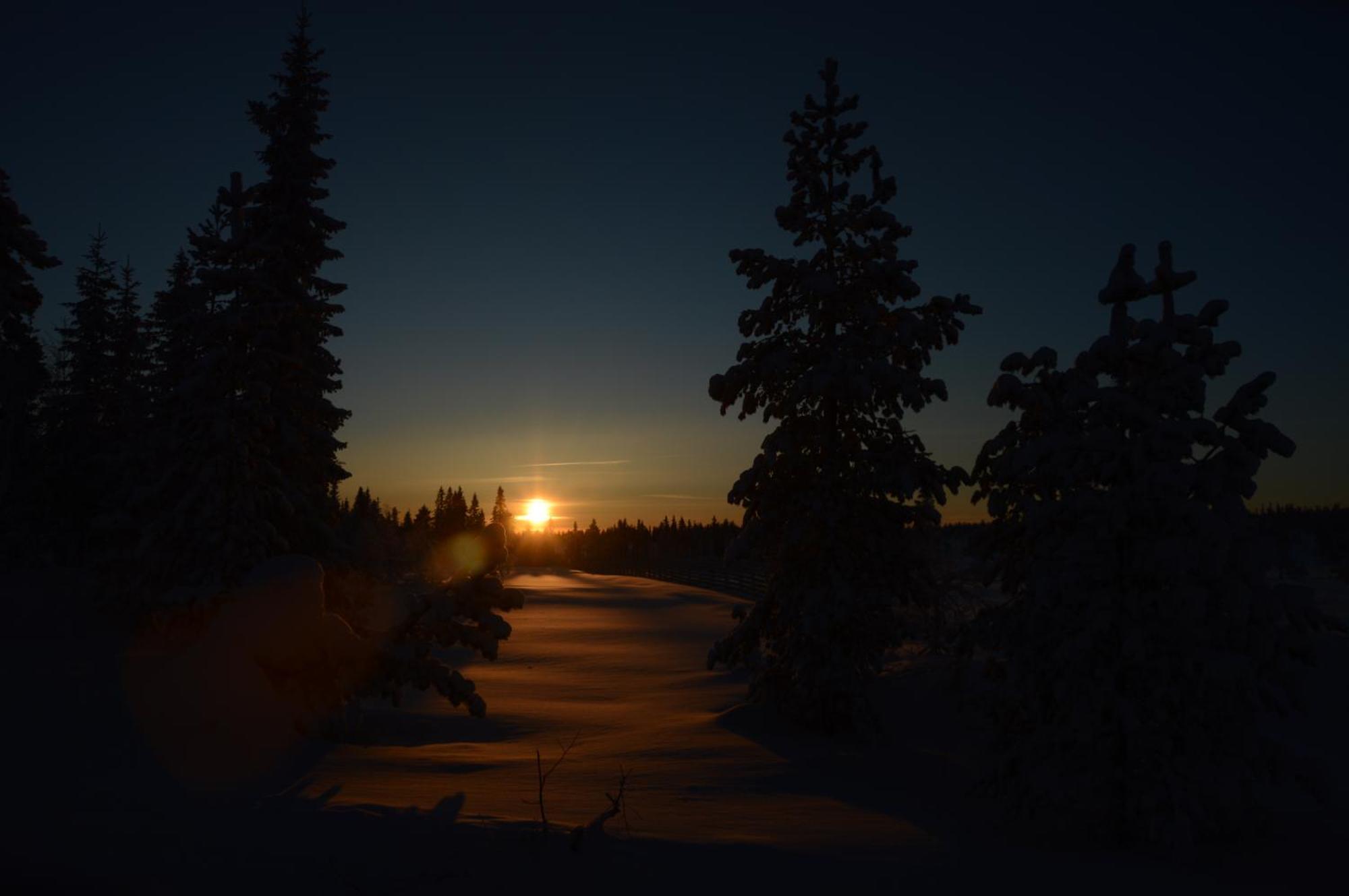 16 - Fulufjellets Nasjonalparker - Natur-, Dyre- Og Fugleopplevelser Ljørdal エクステリア 写真