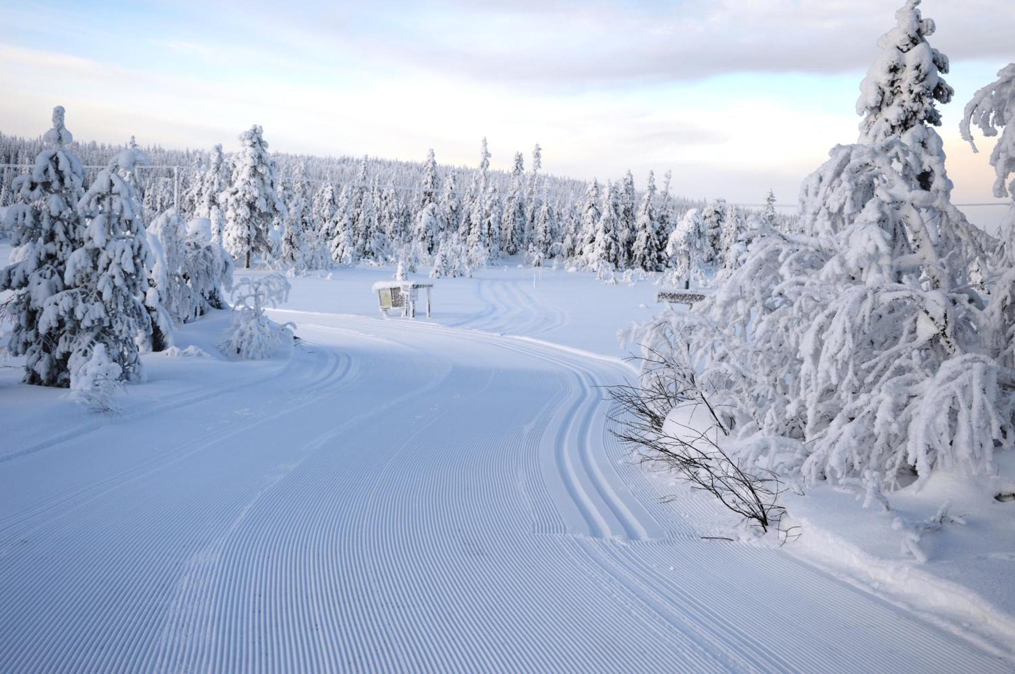 16 - Fulufjellets Nasjonalparker - Natur-, Dyre- Og Fugleopplevelser Ljørdal エクステリア 写真