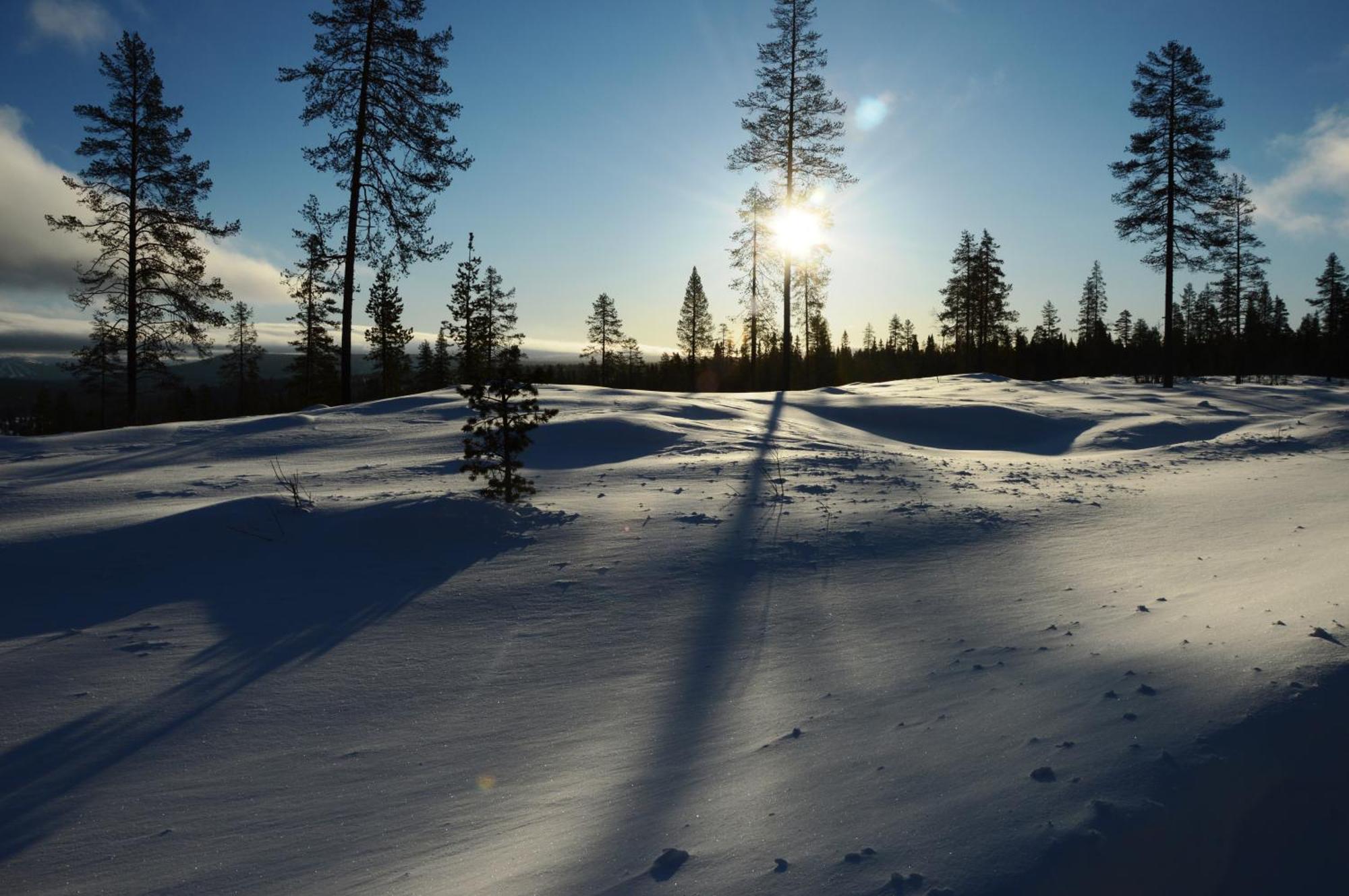 16 - Fulufjellets Nasjonalparker - Natur-, Dyre- Og Fugleopplevelser Ljørdal エクステリア 写真