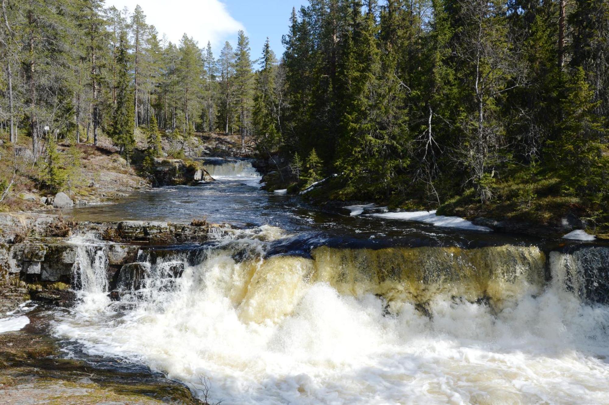16 - Fulufjellets Nasjonalparker - Natur-, Dyre- Og Fugleopplevelser Ljørdal エクステリア 写真