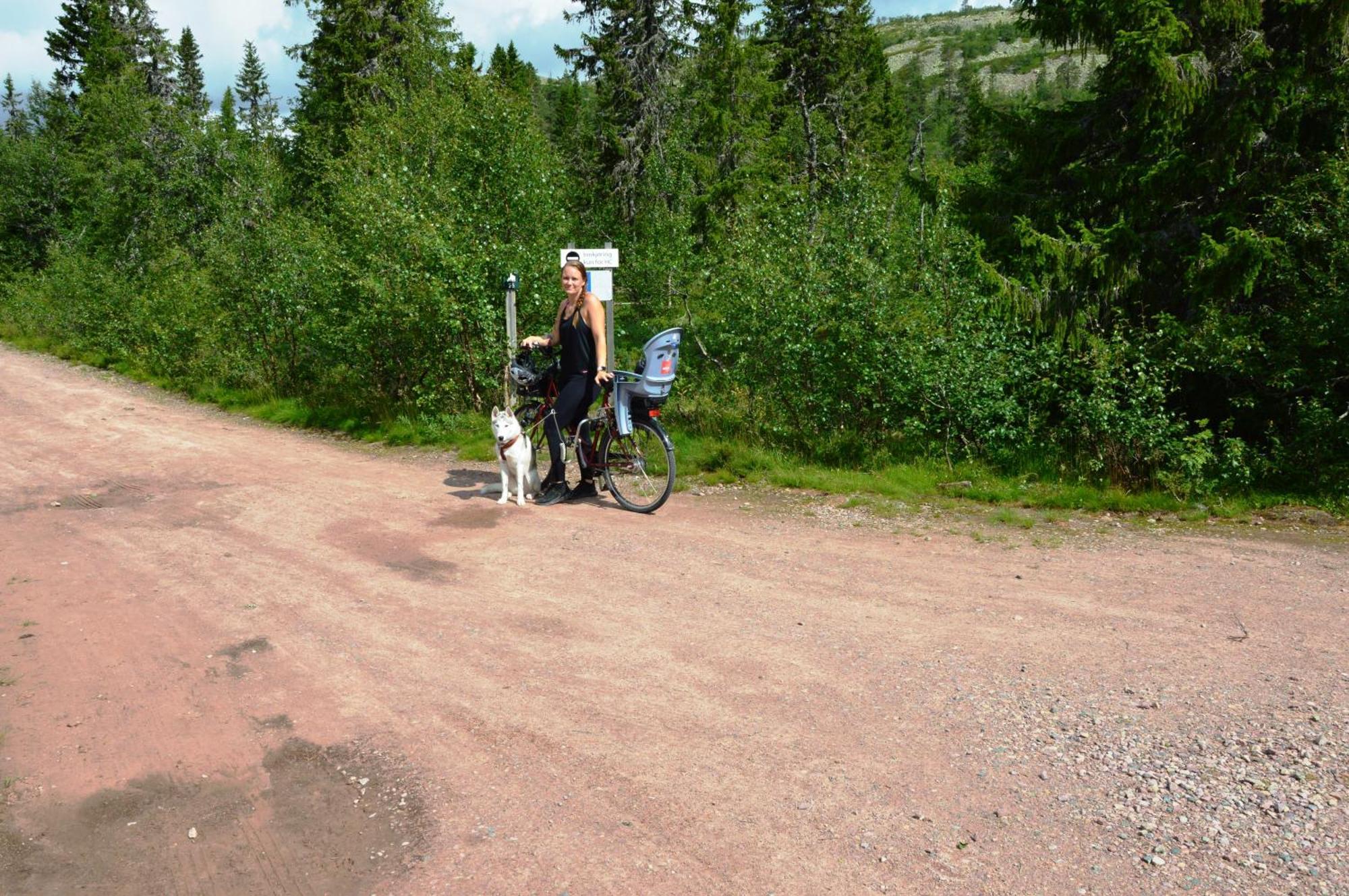 16 - Fulufjellets Nasjonalparker - Natur-, Dyre- Og Fugleopplevelser Ljørdal エクステリア 写真