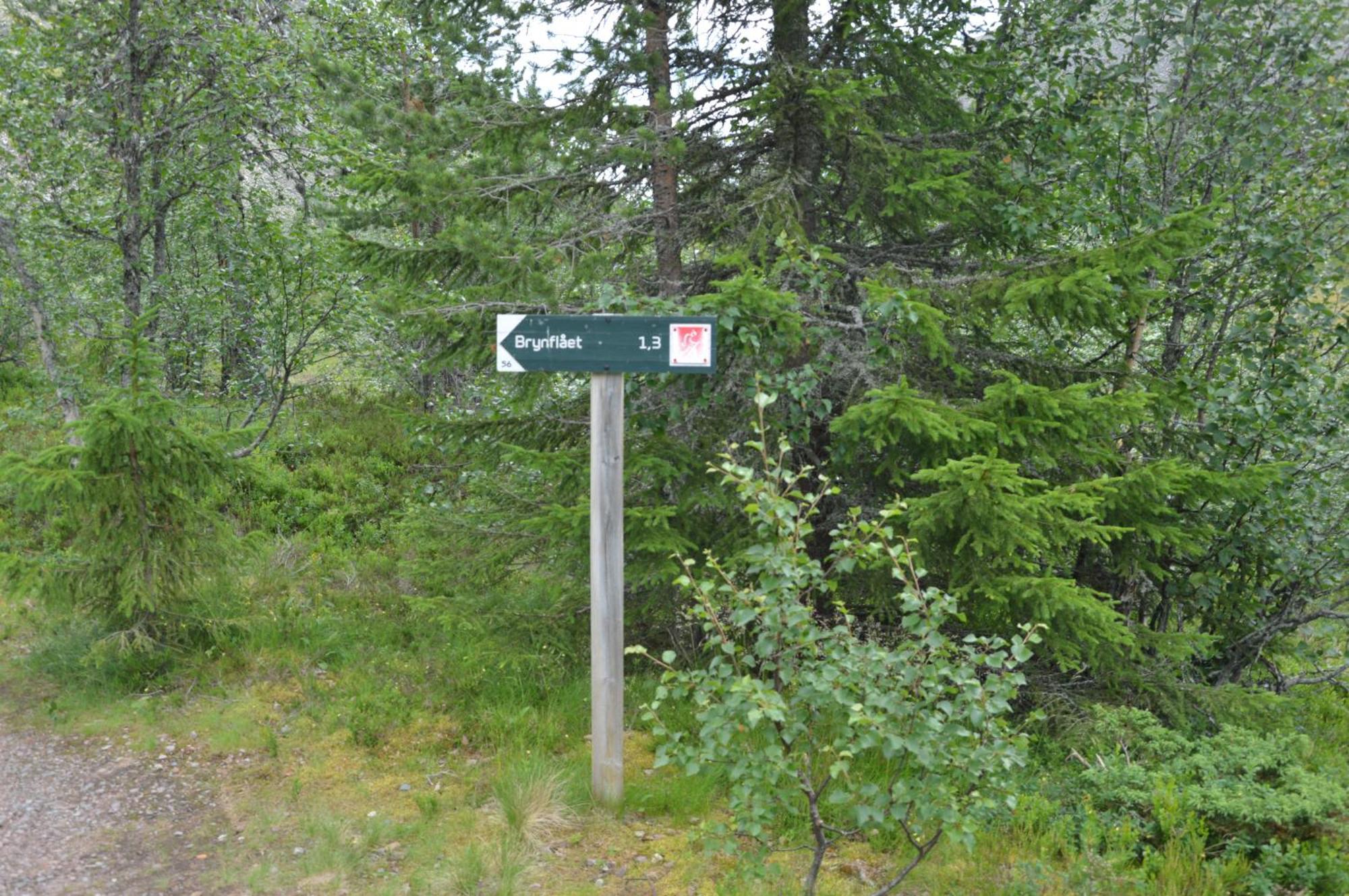16 - Fulufjellets Nasjonalparker - Natur-, Dyre- Og Fugleopplevelser Ljørdal エクステリア 写真
