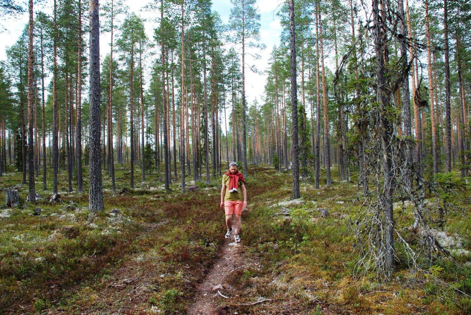 16 - Fulufjellets Nasjonalparker - Natur-, Dyre- Og Fugleopplevelser Ljørdal エクステリア 写真