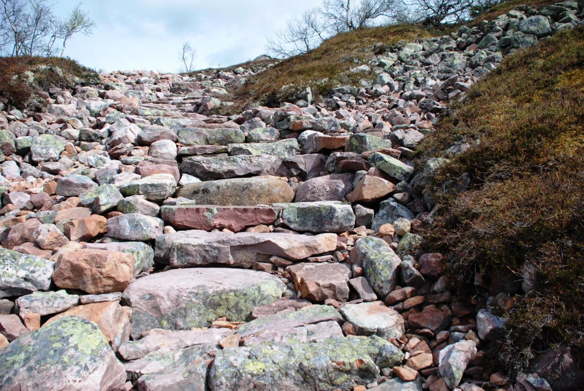 16 - Fulufjellets Nasjonalparker - Natur-, Dyre- Og Fugleopplevelser Ljørdal エクステリア 写真