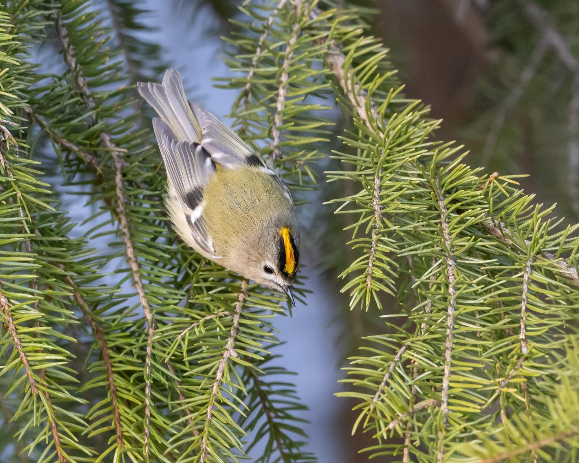 16 - Fulufjellets Nasjonalparker - Natur-, Dyre- Og Fugleopplevelser Ljørdal エクステリア 写真